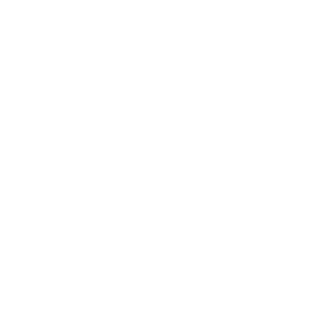 Icon Stecker