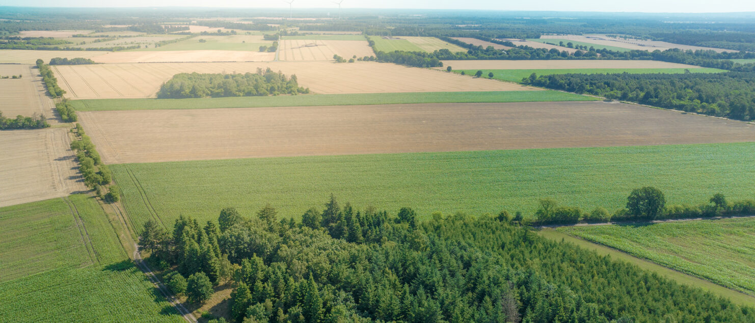 Luftbild der Region Heidmoor - das Foto zeigt eine Ackerlandschaft mit vereinzeltem Gehölz zwischen den braunen und grünen Feldern