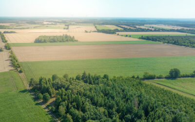 Region Heidmoor Luftbild der Region Heidmoor - das Foto zeigt eine Ackerlandschaft mit vereinzeltem Gehölz zwischen den braunen und grünen Feldern