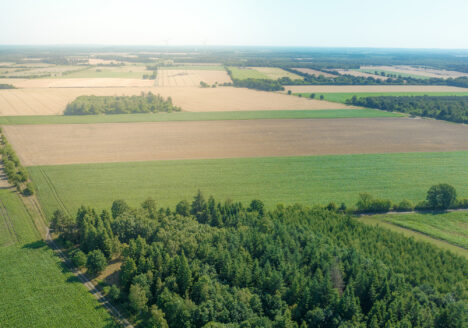 Luftbild der Region Heidmoor - das Foto zeigt eine Ackerlandschaft mit vereinzeltem Gehölz zwischen den braunen und grünen Feldern