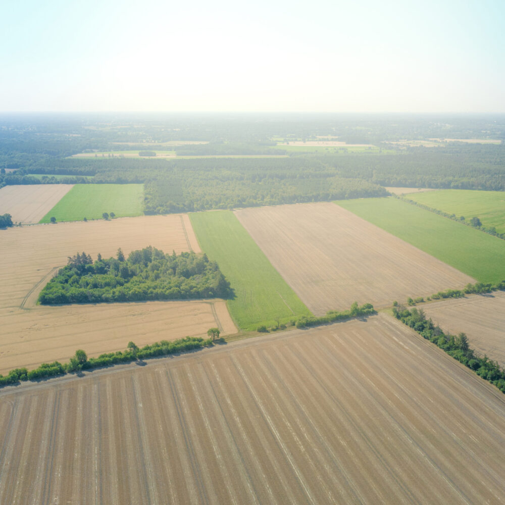 Luftbild der Region Heidmoor - das Foto zeigt braune Acker, vereinzelte grüne Felder und Wäldchen im Hintergrund.