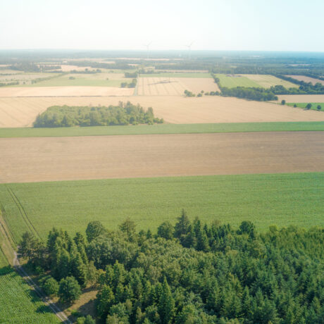 Luftbild der Region Heidmoor - das Foto zeigt eine Ackerlandschaft mit vereinzeltem Gehölz zwischen den Feldern.